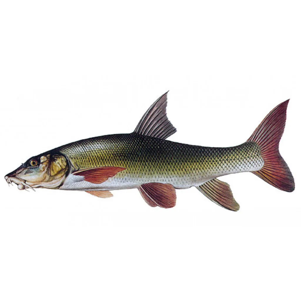 Mník