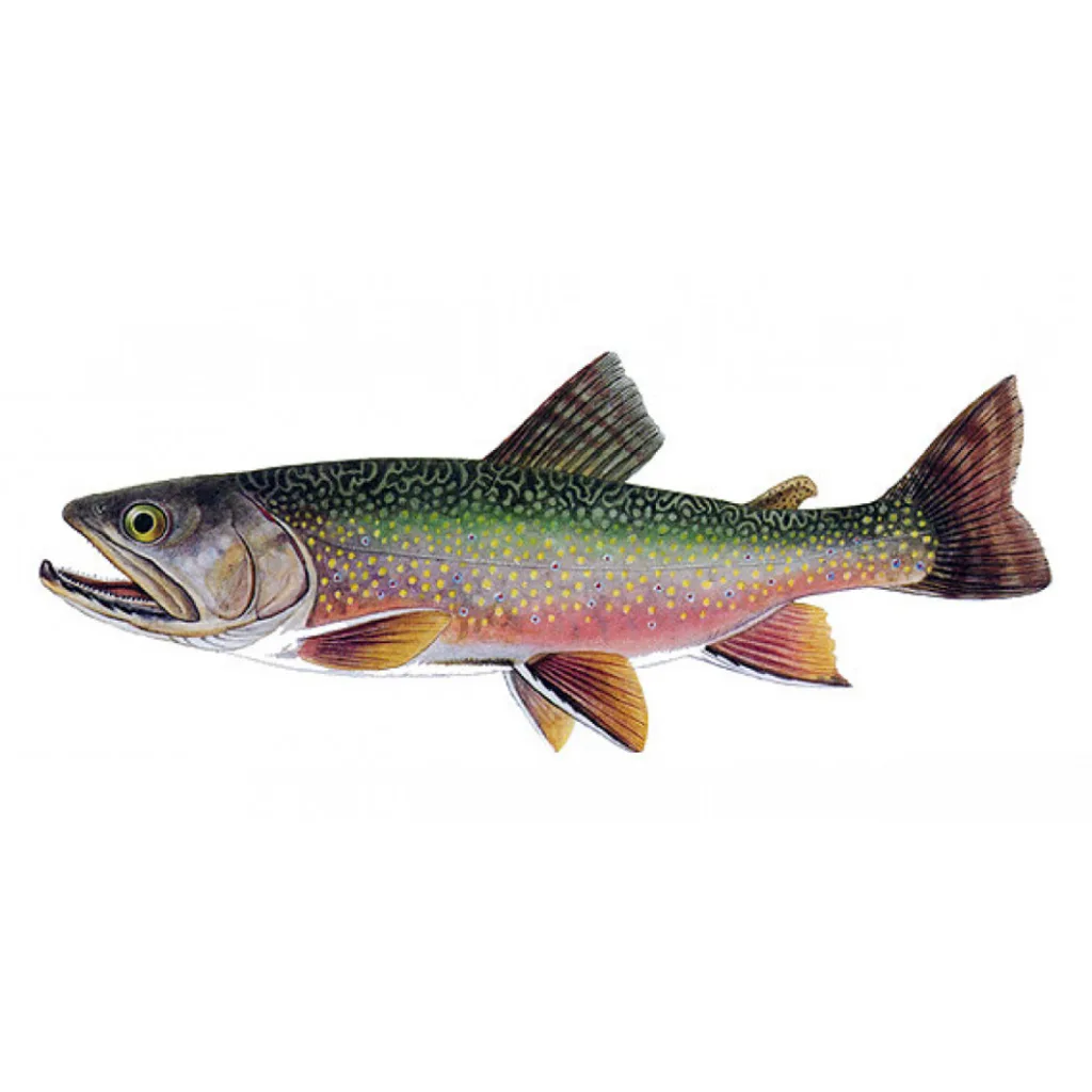 Síven